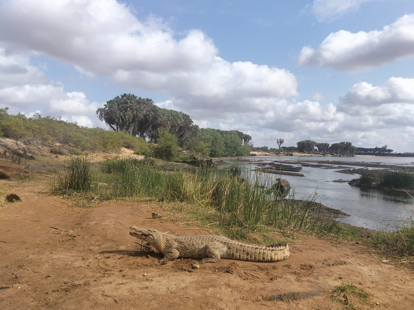 2 Giorni Tsavo Est e Riserva di Ngutuni