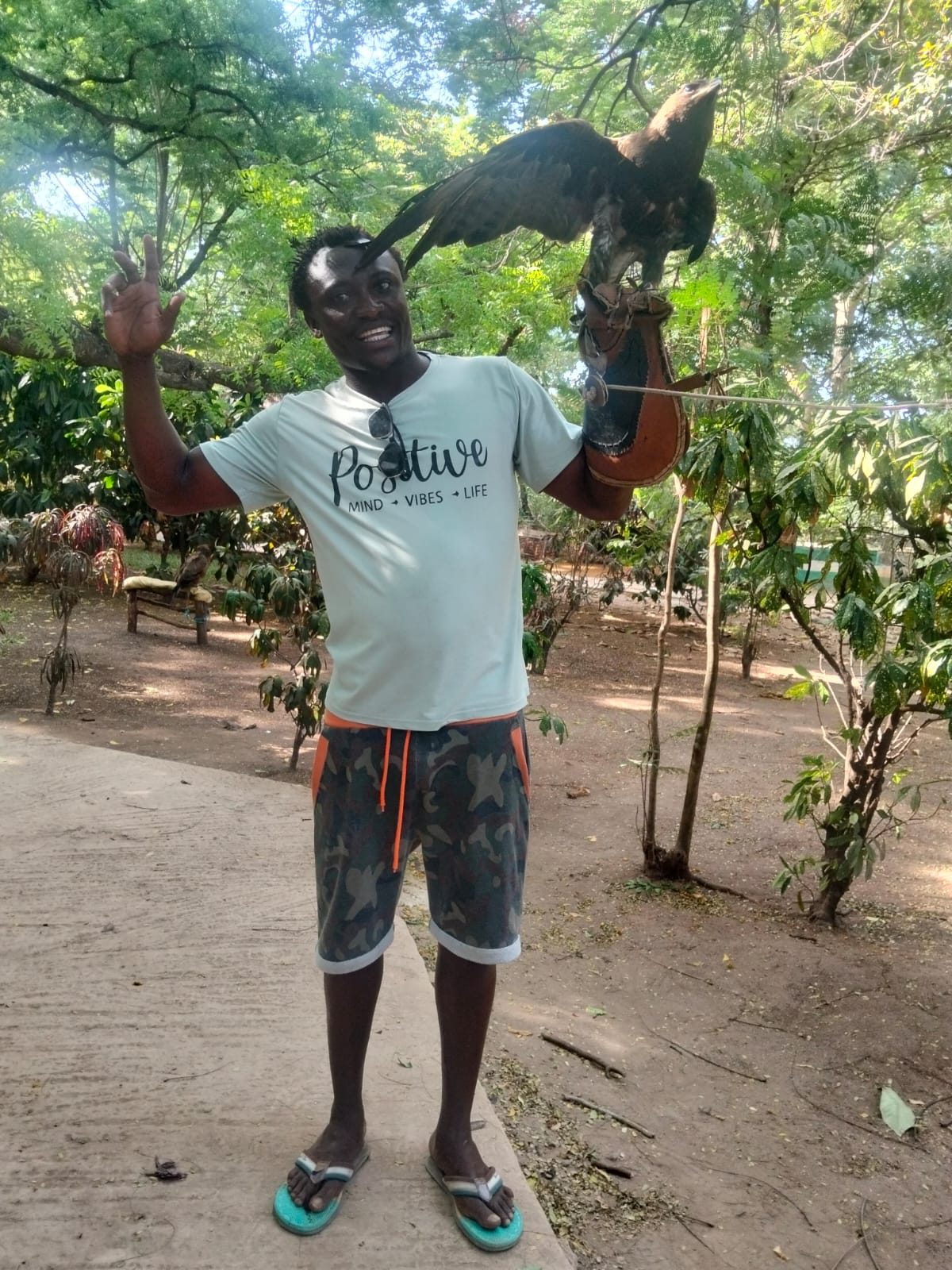 3 Giorni Maasai Mara in Aereo