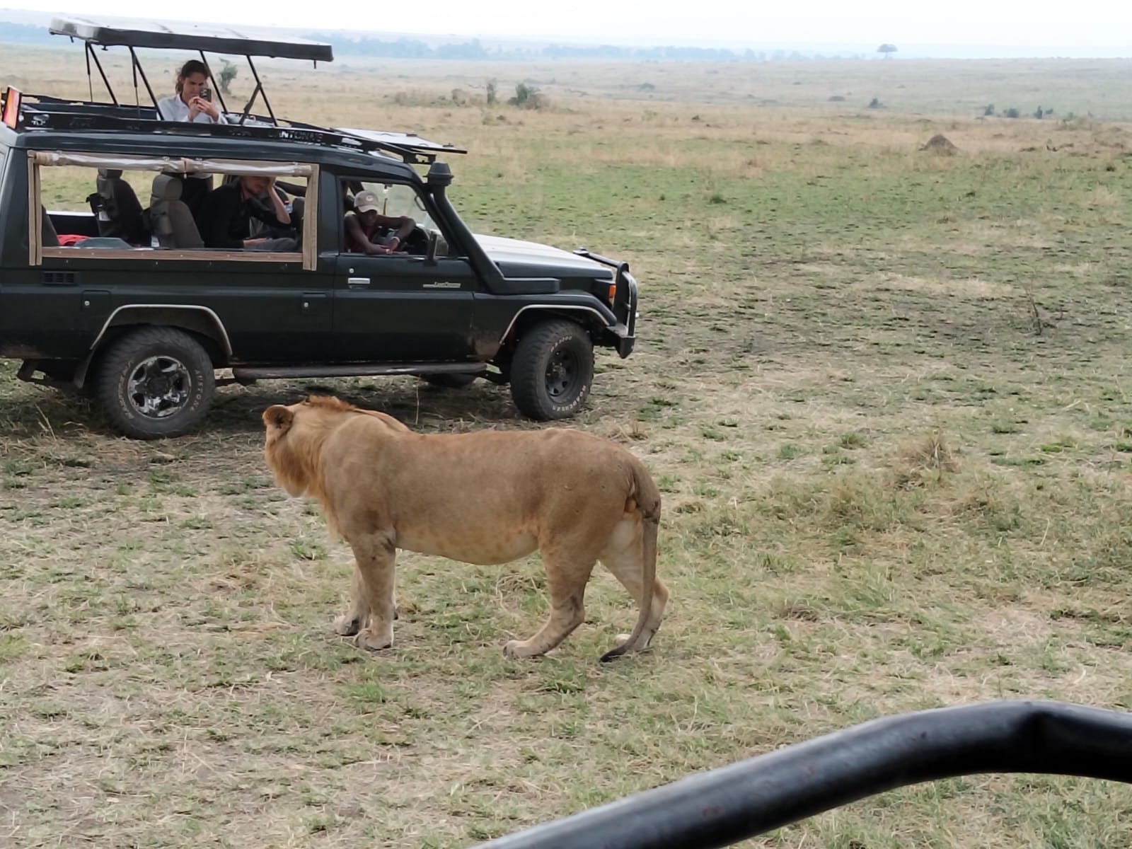 4 Giorni Tsavo Est, Amboseli e Tsavo Ovest